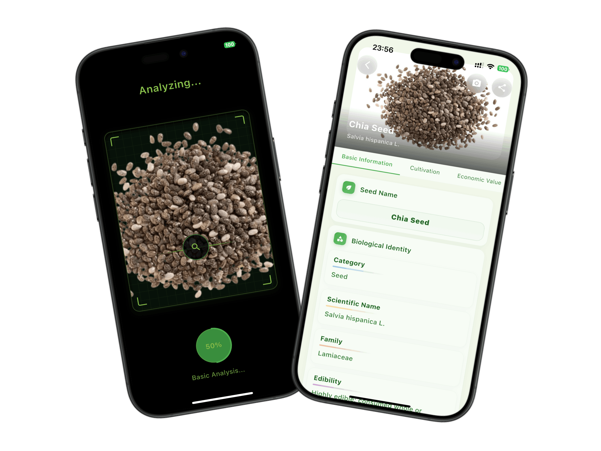 Seedify App Screenshot